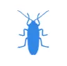 Уничтожение тараканов в Дрезне